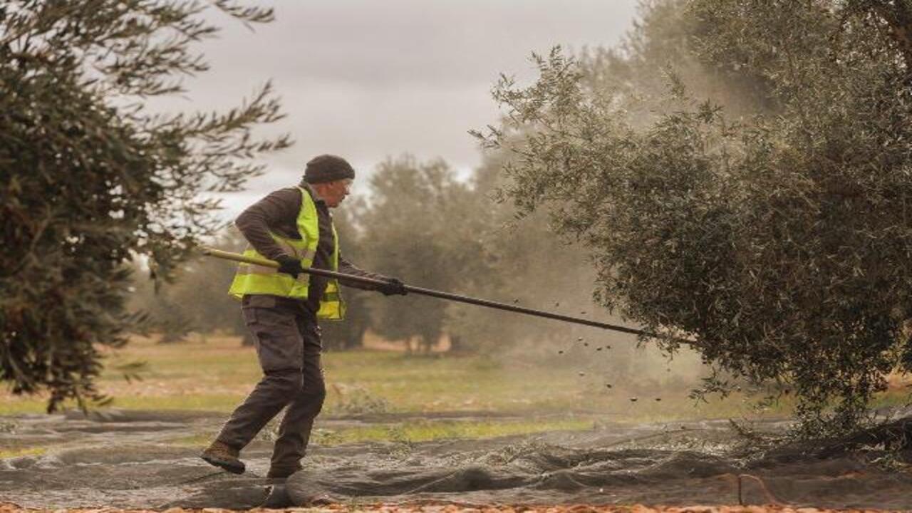 El sector considera «inasumible» la subida del SMI y reclama bonificaciones para asumirlo