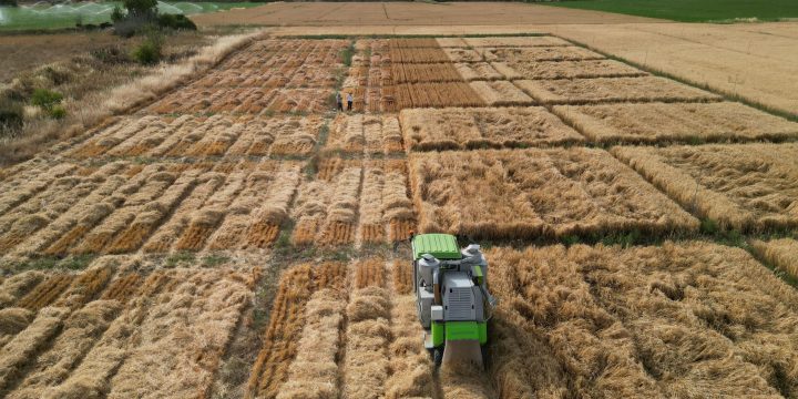 La Comisión Europea propone integrar la PAC en un fondo multisectorial y reducir su presupuesto en 86.000 millones